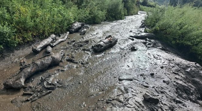 बाढी–पहिरोले कर्णाली करिडोरको हुम्ला खण्डका विभिन्न स्थानमा सडक अवरुद्ध ।।