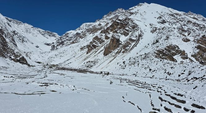 नाम्खाको लिमिमा हिमपातले ३५० हाराहारी पशु चौपाया थुनिए, उद्धारमा समस्या ।।